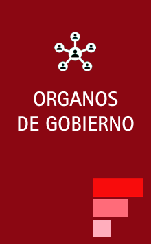 Órganos de gobierno