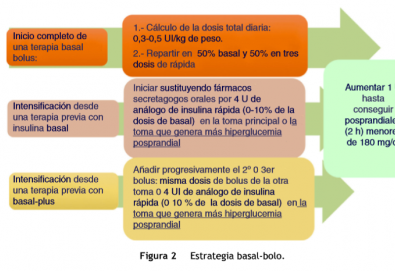 consenso insulina