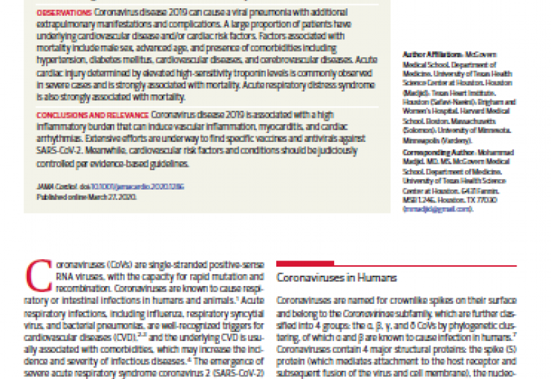 Madjid M et al. (2020). Potential Effects of Coronaviruses on the Cardiovascular System A Review