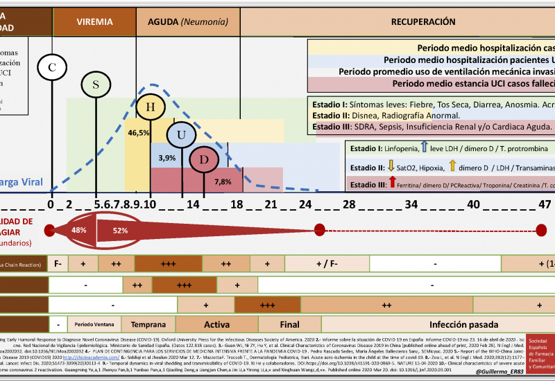 Evolución de la COVID-19 en el paciente: fases y características