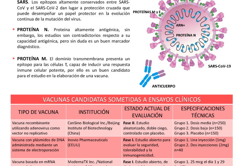 ¿Qué sabemos de la vacuna frente al COVID-19?