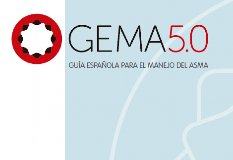 GEMA 5.0