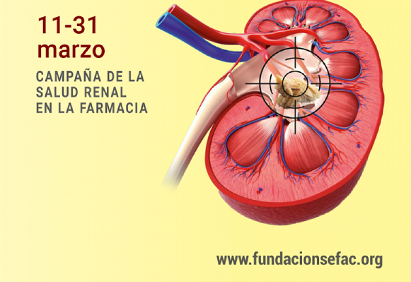 Participa en la campaña del Día Mundial del Riñón