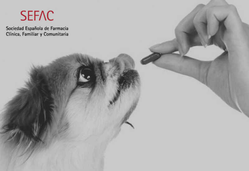 SEFAC crea un nuevo grupo de trabajo de medicamentos de uso animal