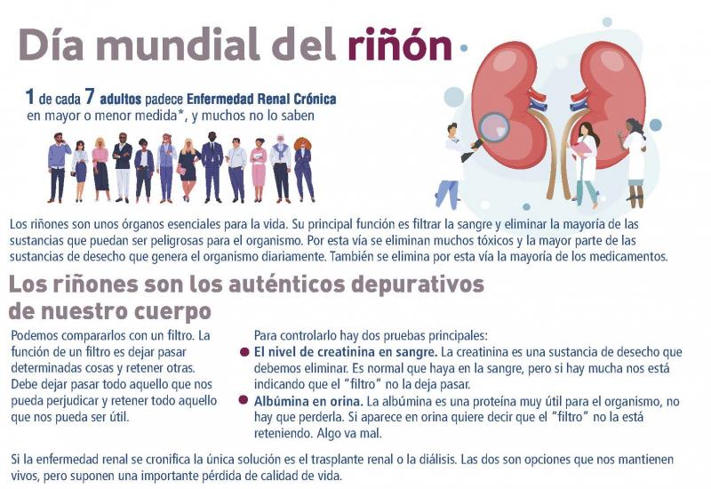 Infografía: Día Mundial del Riñón 2022