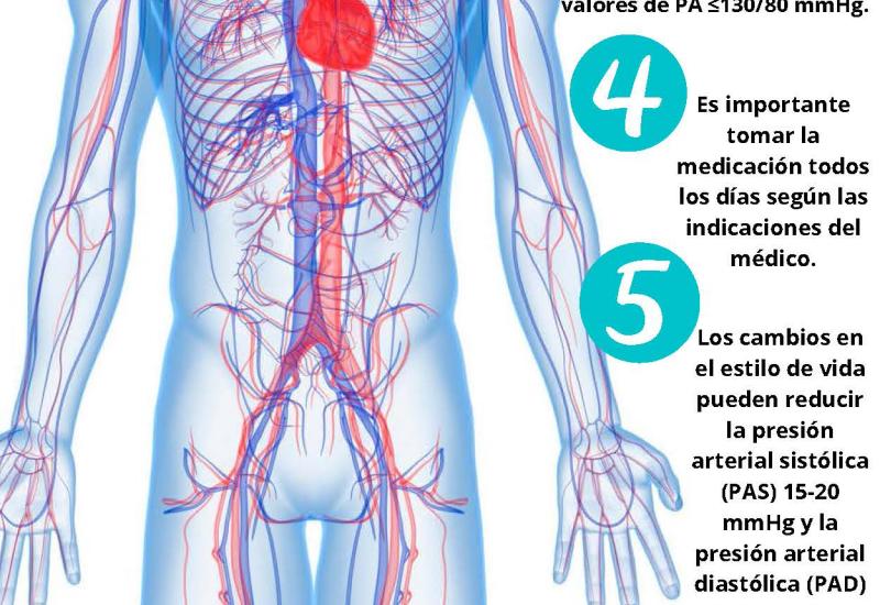 Infografía: 17M, Día Mundial de la Hipertensión arterial
