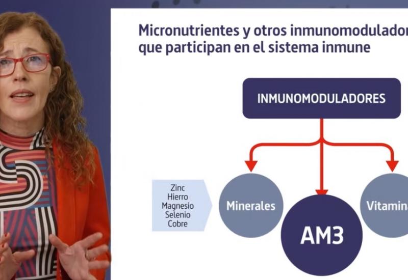 Vídeo: Guía de actuación farmacéutica en sistema inmune