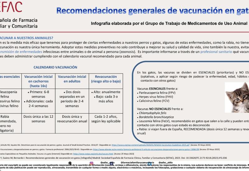 Infografía: Recomendaciones generales de vacunación en gatos