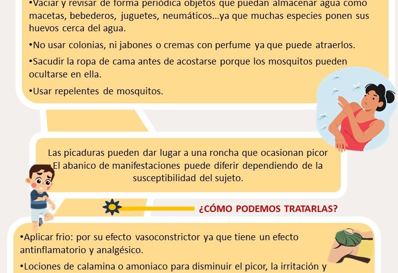 Infografía: Lo que necesitas saber sobre los mosquitos 