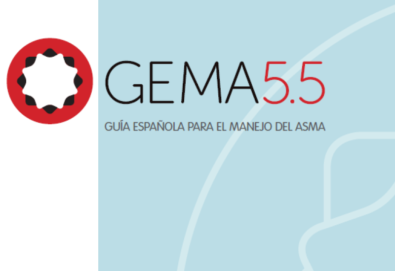 Guía GEMA 5.5