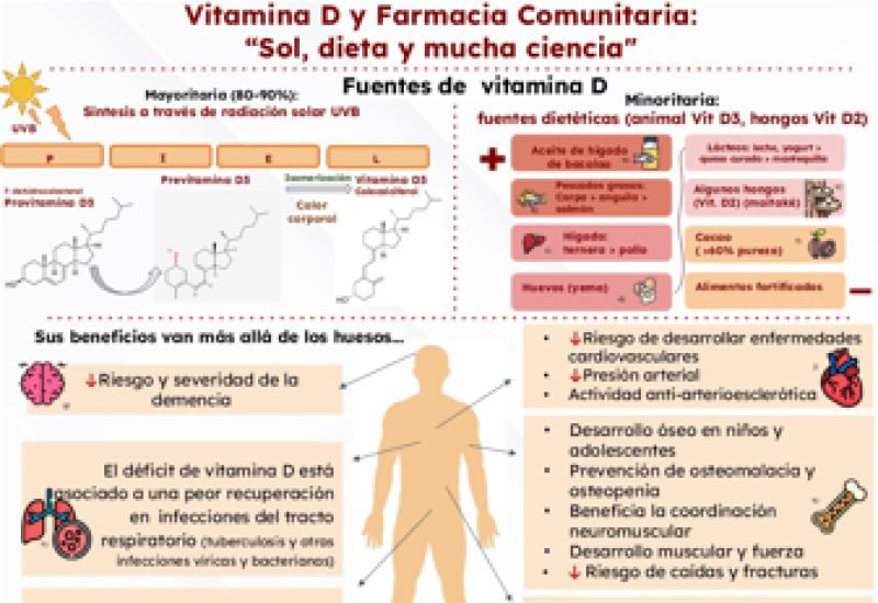 Vitamina D y Farmacia Comunitaria: “Sol, dieta y mucha ciencia"