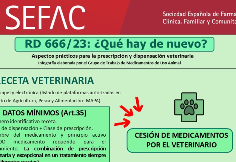 Infografía RD 666: ¿Qué hay de nuevo?