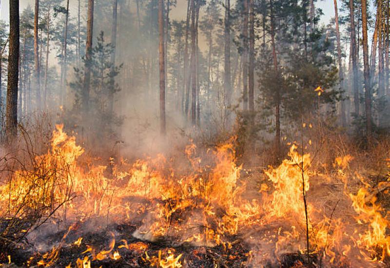 El peligro invisible del humo: los farmacéuticos comunitarios advierten del impacto multisistémico de los incendios sobre la salud 
